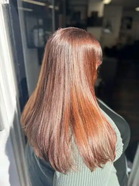 Brown hair with vitality